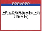 上海宠物训练狗学校(上海训狗学校)