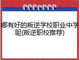 哪有好的叛逆学校职业中学呢(叛逆职校推荐)