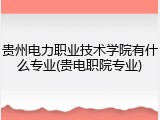 贵州电力职业技术学院有什么专业(贵电职院专业)