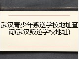 武汉青少年叛逆学校地址查询(武汉叛逆学校地址)