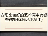 安阳比较好的艺术高中有哪些(安阳优质艺术高中)
