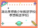 湖北孝感青少年叛逆学校(孝感叛逆学校)