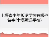 十堰青少年叛逆学校有哪些名字(十堰叛逆学校)