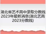 湖北省艺术高中录取分数线2023年最新消息(湖北艺高2023分数线)