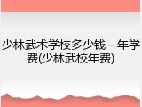 少林武术学校多少钱一年学费(少林武校年费)