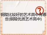 铜陵比较好的艺术高中有哪些(铜陵优质艺术高中)