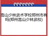 嵩山少林武术学校郑州市有吗(郑州嵩山少林武校)