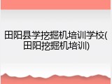 田阳县学挖掘机培训学校(田阳挖掘机培训)