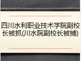 四川水利职业技术学院副校长被抓(川水院副校长被捕)