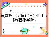 东营职业学院石油与化工学院(石化学院)