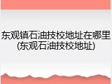 东观镇石油技校地址在哪里(东观石油技校地址)