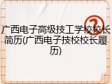 广西电子高级技工学校校长简历(广西电子技校校长履历)