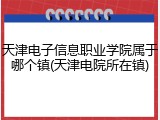 天津电子信息职业学院属于哪个镇(天津电院所在镇)