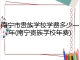 南宁市贵族学校学费多少一年(南宁贵族学校年费)