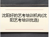 沈阳好的艺考培训机构(沈阳艺考培训优选)