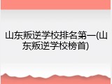 山东叛逆学校排名第一(山东叛逆学校榜首)