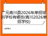 广元青川县2026年单招培训学校有哪些(青川2026单招学校)
