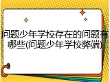 问题少年学校存在的问题有哪些(问题少年学校弊端)