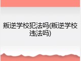 叛逆学校犯法吗(叛逆学校违法吗)