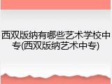 西双版纳有哪些艺术学校中专(西双版纳艺术中专)