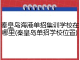 秦皇岛海港单招集训学校在哪里(秦皇岛单招学校位置)