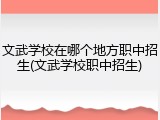 文武学校在哪个地方职中招生(文武学校职中招生)