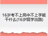 16岁考不上高中不上学能干什么(16岁辍学出路)
