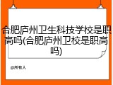合肥庐州卫生科技学校是职高吗(合肥庐州卫校是职高吗)