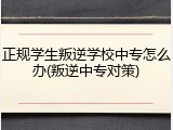 正规学生叛逆学校中专怎么办(叛逆中专对策)