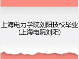 上海电力学院刘阳技校毕业(上海电院刘阳)