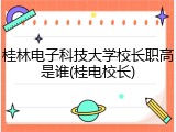 桂林电子科技大学校长职高是谁(桂电校长)