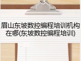眉山东坡数控编程培训机构在哪(东坡数控编程培训)