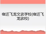 宿迁飞龙文武学校(宿迁飞龙武校)