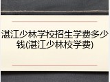 湛江少林学校招生学费多少钱(湛江少林校学费)