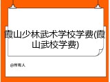 霞山少林武术学校学费(霞山武校学费)