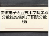 安徽电子职业技术学院录取分数线(安徽电子职院分数线)