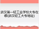 武汉第一轻工业学校大专在哪(武汉轻工大专地址)