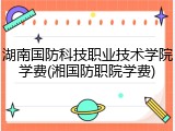 湖南国防科技职业技术学院学费(湘国防职院学费)