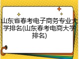 山东省春考电子商务专业大学排名(山东春考电商大学排名)