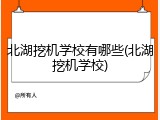 北湖挖机学校有哪些(北湖挖机学校)