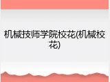 机械技师学院校花(机械校花)