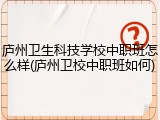 庐州卫生科技学校中职班怎么样(庐州卫校中职班如何)