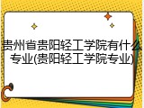 贵州省贵阳轻工学院有什么专业(贵阳轻工学院专业)