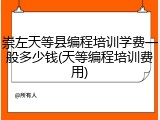 崇左天等县编程培训学费一般多少钱(天等编程培训费用)