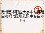 抚州艺术职业大学中专部是自考吗?(抚州艺职中专自考吗)