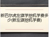 新巴尔虎左旗学挖机学费多少(新左旗挖机学费)