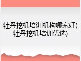 牡丹挖机培训机构哪家好(牡丹挖机培训优选)