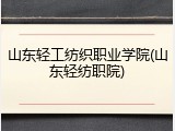 山东轻工纺织职业学院(山东轻纺职院)