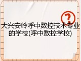 大兴安岭呼中数控技术专业的学校(呼中数控学校)