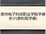 贵州电子科技职业学院学费多少(贵科院学费)
